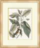 Summer Bird 4, Giclee Reproduction Artwork