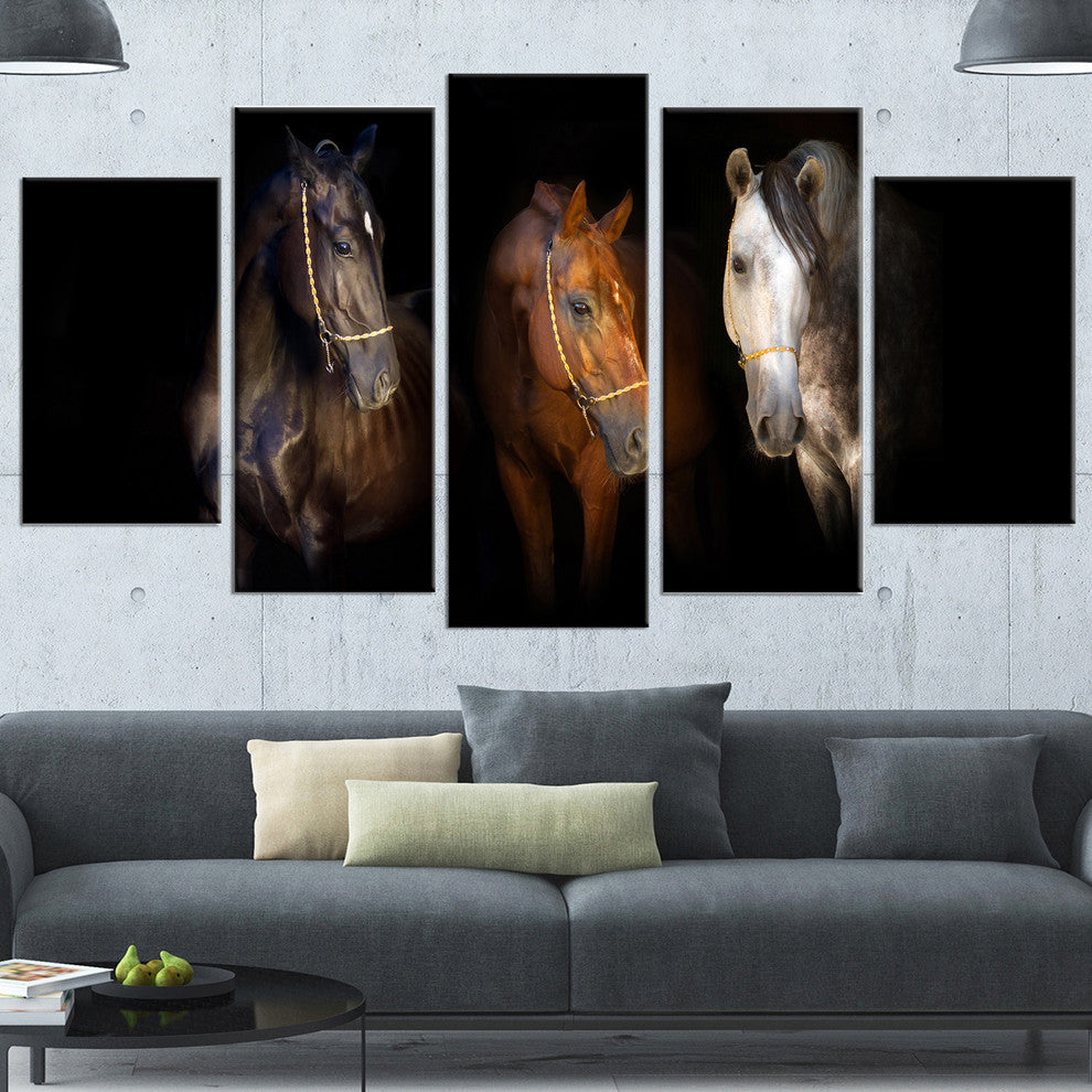Three Horses with Golden Bridle, Animal Canvas Art Print, 60"x32", 5 Panels