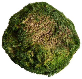Vickerman Natural Botanicals 1  lb. Apple Green Pole Moss.