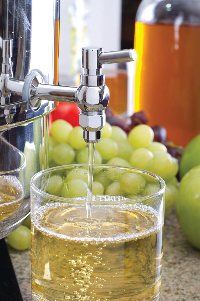 Euro Cuisine Stainless Steel Stove Top Steam Juicer