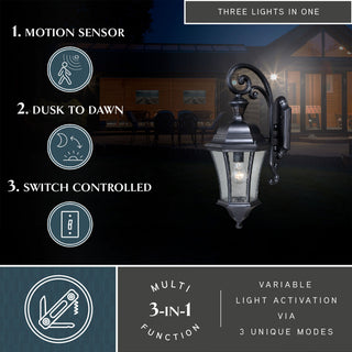 Aberdeen Motion Sensor Dusk to Dawn Outdoor Wall Light Shiny Black