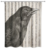 Spooky Crow 71"x74" Shower Curtain