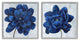 Bold Royal Blue Florals Blooming Chic Petal Flower,12 x 12