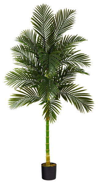 Full product shown on a pure white background; front-facing presentation.