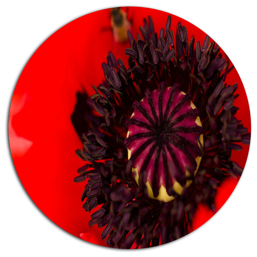 Garden In Full Bloom On Summer Day, Flowers Disc Metal Wall Art, 23"