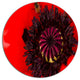 Garden In Full Bloom On Summer Day, Flowers Disc Metal Wall Art, 23"