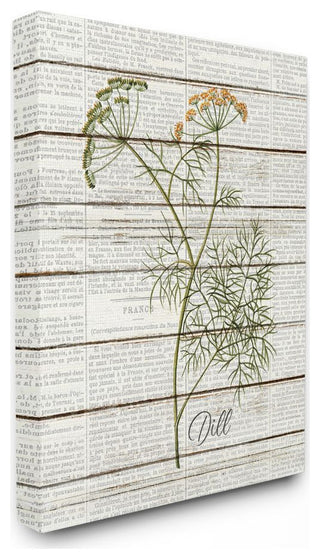 Dill Vintage Herb Kitchen Dining Room Word Collage , 30"x40"