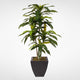 4ft Real Touch Dracaena Massangeana Tree in a Contemporary Metal Pot