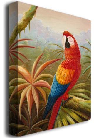 'Amazon Rain Forest' Canvas Art by Rio