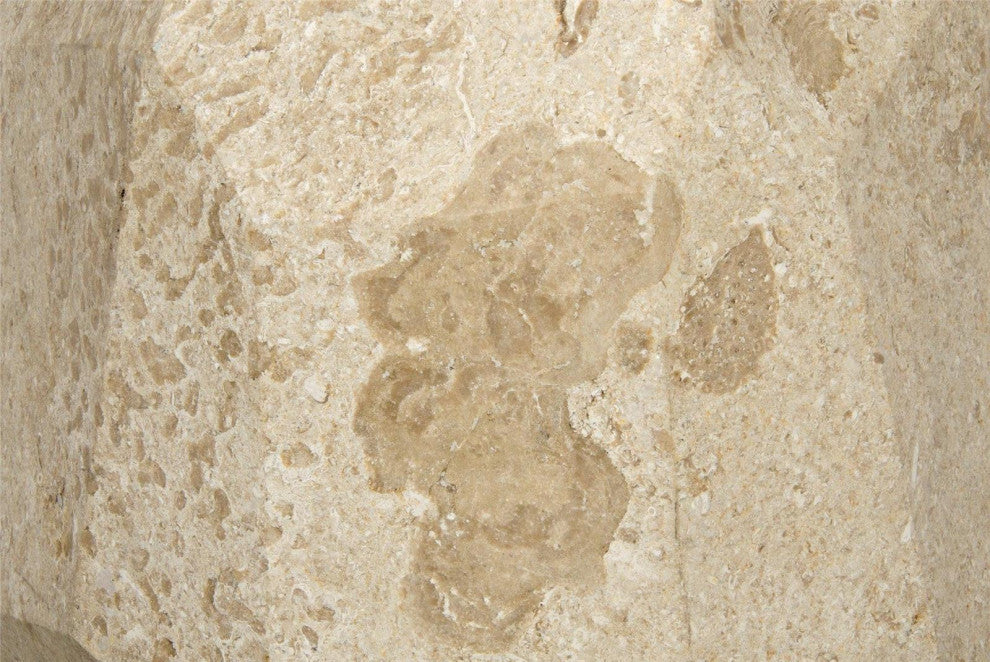 Sophisticated White Marble Side Table