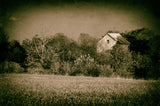 Abandoned Barn In The Trees Vintage Framed Photo Paper Wall Art Prints, White, 8" X 10"