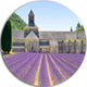 Abbey Of Senanque Blooming Lavender, Landscape Round Wall Art, 36"