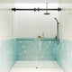 Polaris 60 in. x 78 in. Sliding Bypass Shower Doors, Matte Black