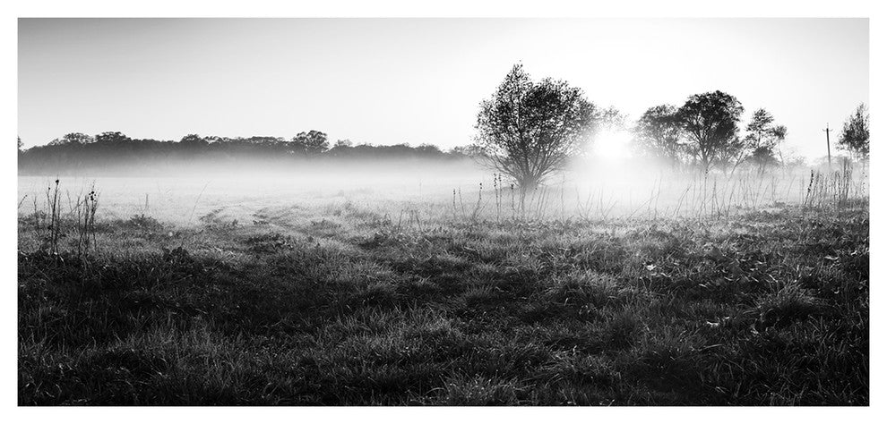 Rural Meadow in Mist, Large landscape Canvas Art Print, 60"x28"