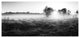 Rural Meadow in Mist, Large landscape Canvas Art Print, 60"x28"