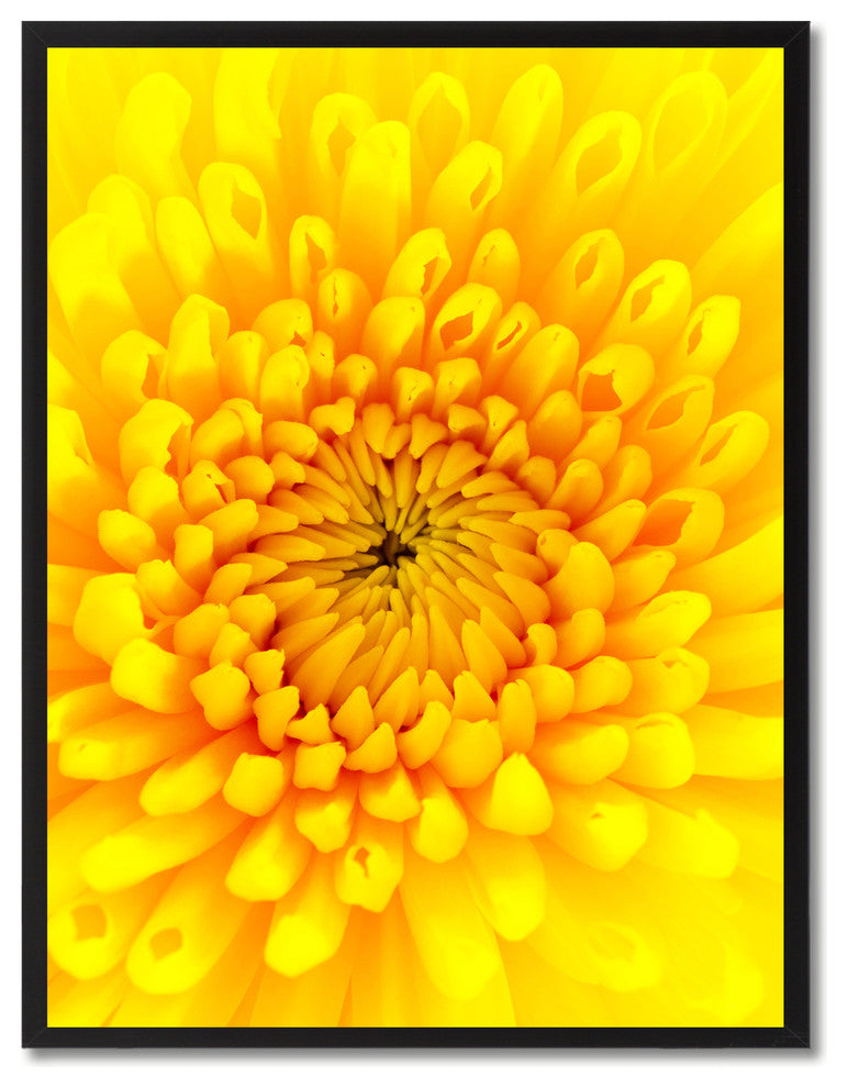 Yellow Chrysanthemum Flower Print on Canvas with Picture Frame, 13"x17"