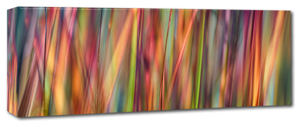 Cora Niele 'Grass Spectrography' Canvas Art