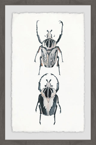 "Beetle Duo" Framed Painting Print, 24"x36"
