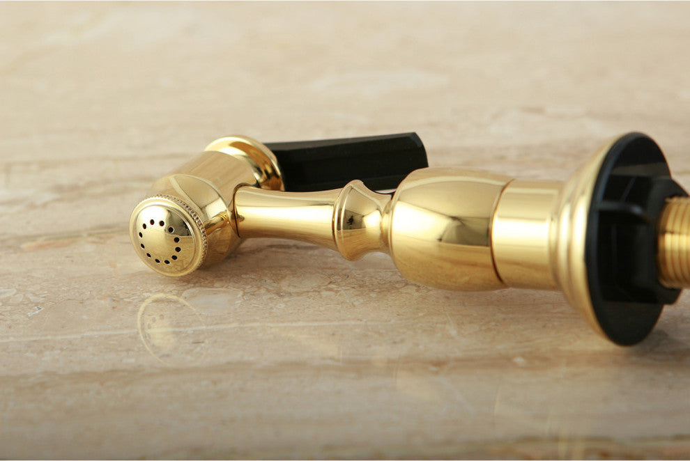 Gourmet Scape Kitchen Faucet Side Sprayer, Polished Brass