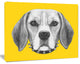 Funny Beagle Dog with Collar, Animal Canvas Art Print, 20"x12"