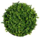 20in. UV Resistant Irish Green Meadow Artificial Living Wall Art Panel