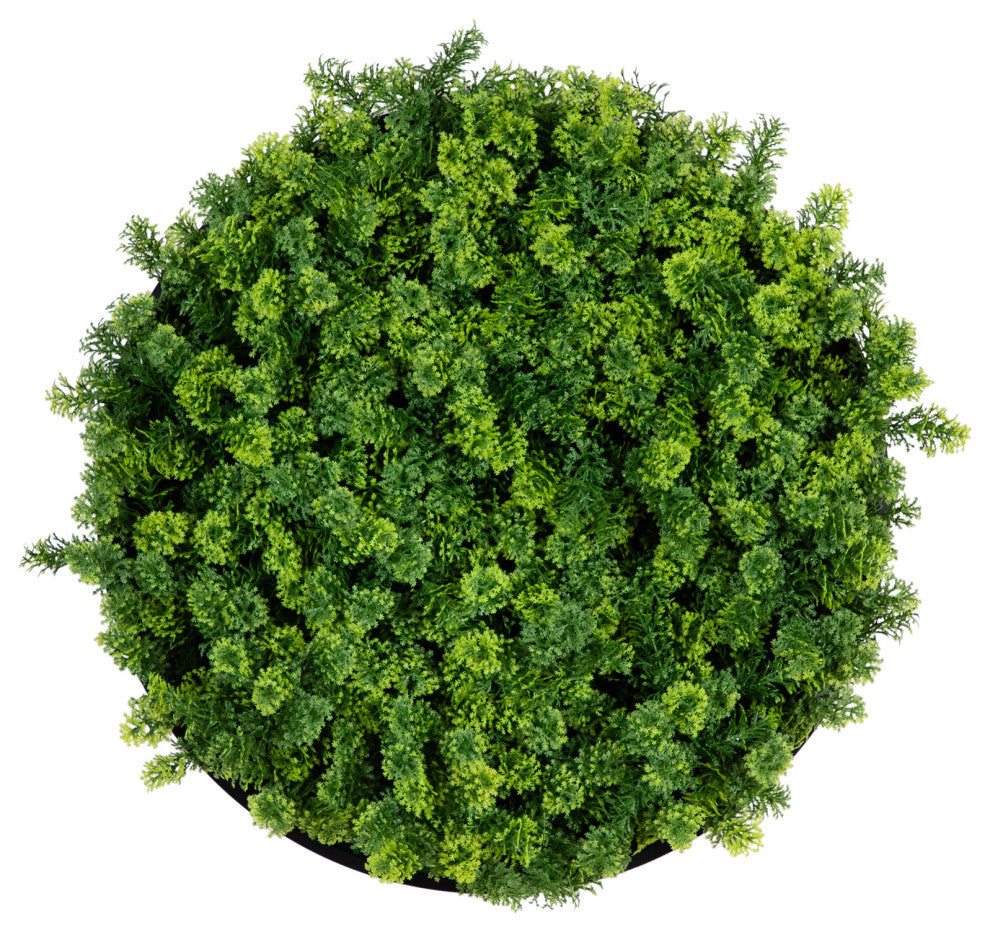 Primary product: full circular moss panel on clean white background; no text.