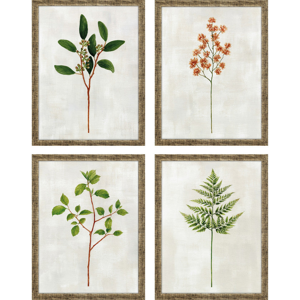 Botanical I Artwork, 4-Piece Set