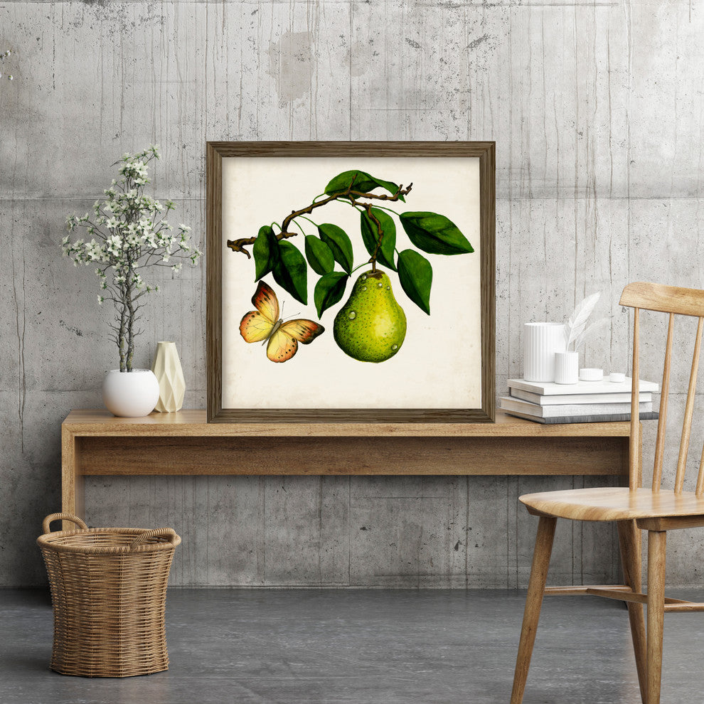 "Fruit with Butterfiles I" Gallery Collection Framed Canvas Wall Art, 18"x18"