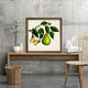 "Fruit with Butterfiles I" Gallery Collection Framed Canvas Wall Art, 18"x18"