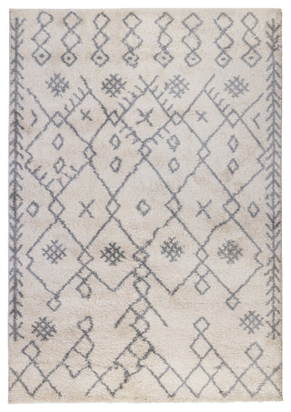 Aspen Emara Shag Polypropylene Area Rug, 7'6" X 9'6"