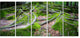 "Green Wild Deep Moss Forest" Landscape Art Print Canvas, 5 Panels, 60"x28"