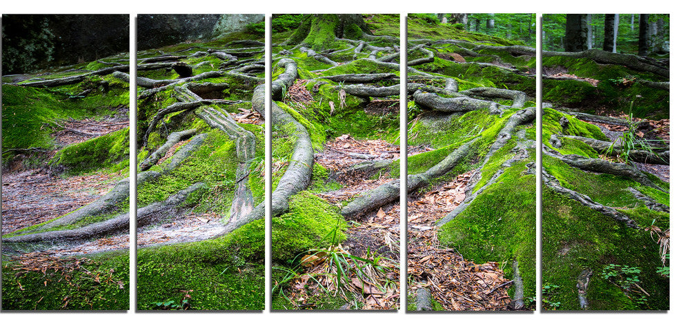 "Green Wild Deep Moss Forest" Landscape Art Print Canvas, 5 Panels, 60"x28"