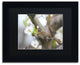 'Before Bloom' Matted Framed Canvas Art by Monica Mize