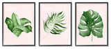 Boho Palm Leaves over Pink Modern Tropical Plants,3pc, each 11 x 14
