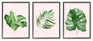 Boho Palm Leaves over Pink Modern Tropical Plants,3pc, each 11 x 14