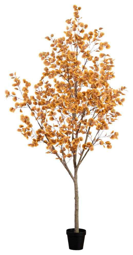 Full product image on white background showing the entire item; front-facing.