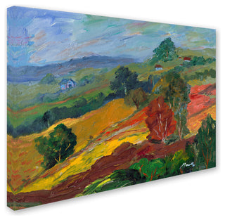 'Napa 2' Canvas Art by Manor Shadian