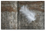 Cora Niele 'Feather on Wood II' Canvas Art