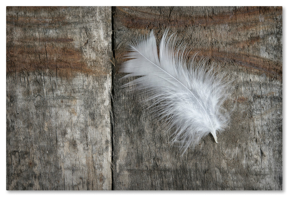 Cora Niele 'Feather on Wood II' Canvas Art