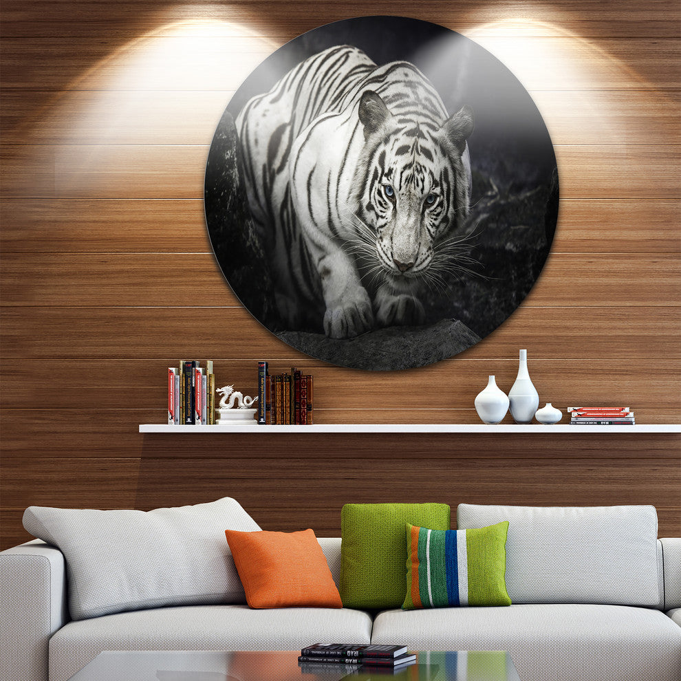White Tiger, Animal Photography Disc Metal Artwork, 11"