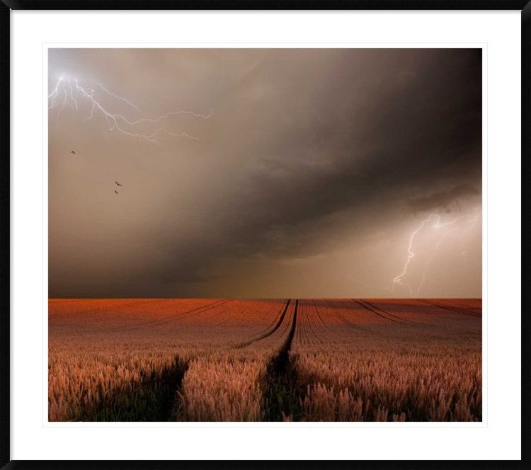 "In The Vastness Of Strohgaeu" Framed Digital Print by Franz Schumacher, 44x38"