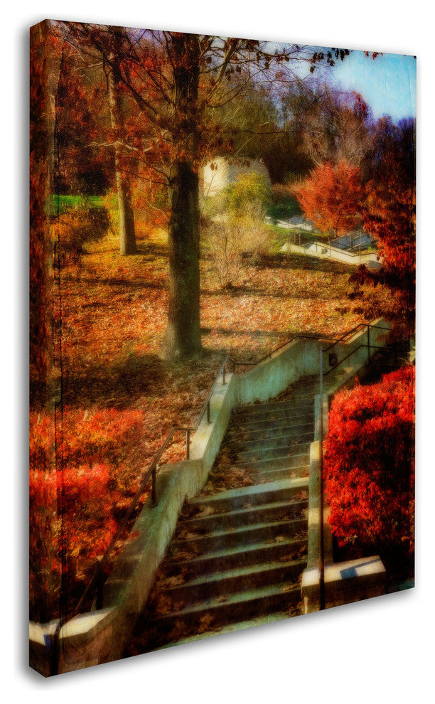 'Autumn Stairway' Canvas Art by Lois Bryan