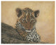 "Young Leopard" Digital Paper Print by Jacquie Vaux, 37"x30"
