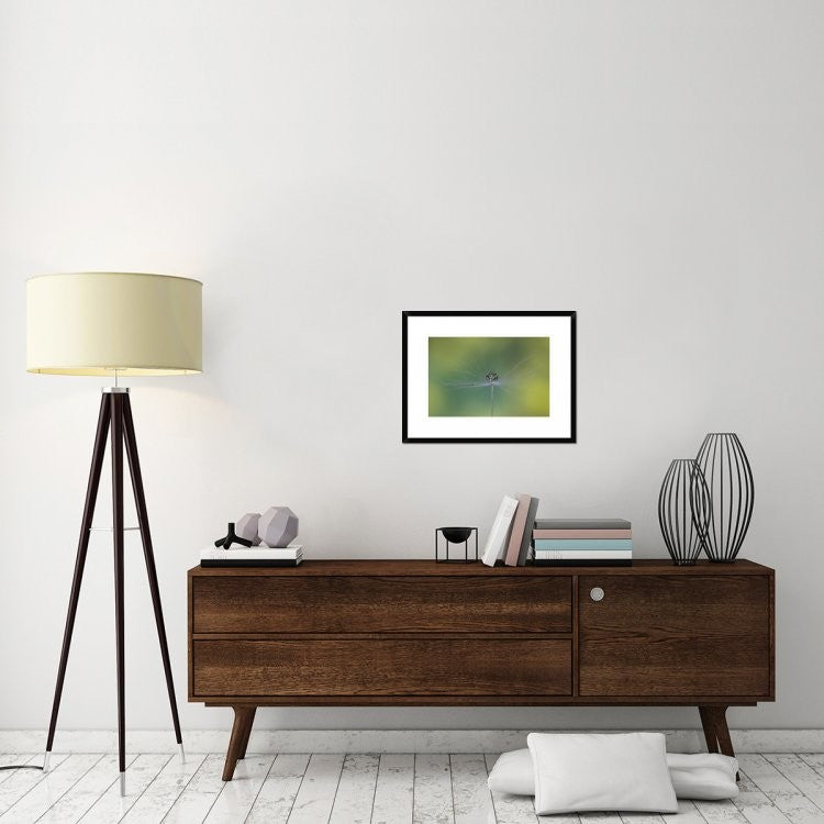 "Magic Bunch" Framed Digital Print by Bertrand Kulik, 26"x20"