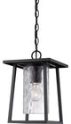 Quoizel LDG1909K One Light Outdoor Hanging Lantern Lodge Mystic Black
