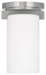 Astoria Ceiling Mount, Brushed Nickel