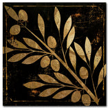 Color Bakery 'Bellissima I' Canvas Art, 24"x24"