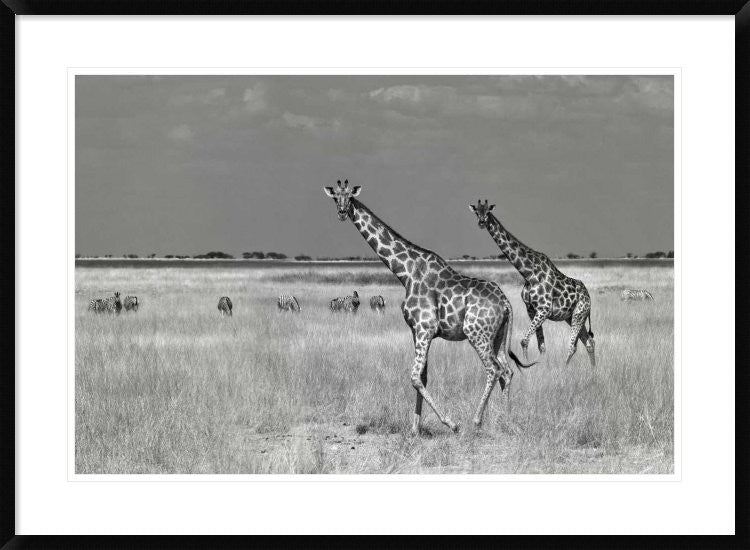 "Tourists Spend" Framed Digital Print by Mathilde Guillemot, 38"x28"