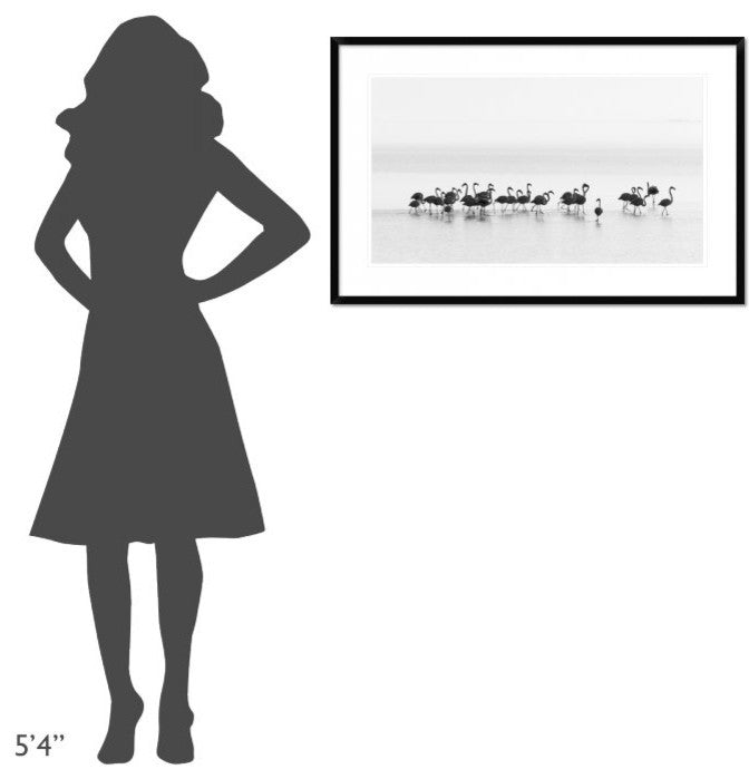"Flamingos" Framed Digital Print by Joan Gil Raga, 38x24"