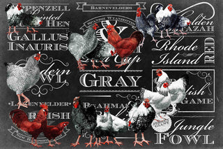 "Chicken Chalk" Painting Print on Canvas